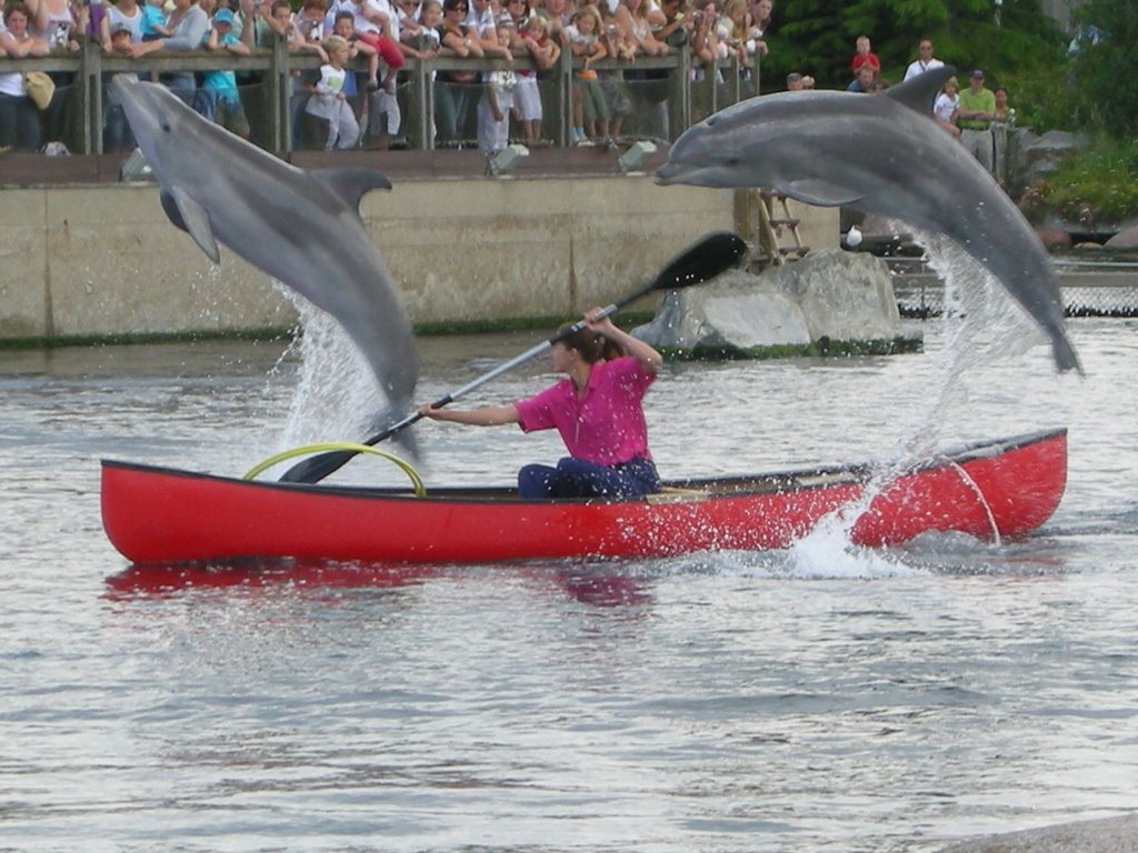 Dolfijnen show Dolfinarium by Richard Donkervliet