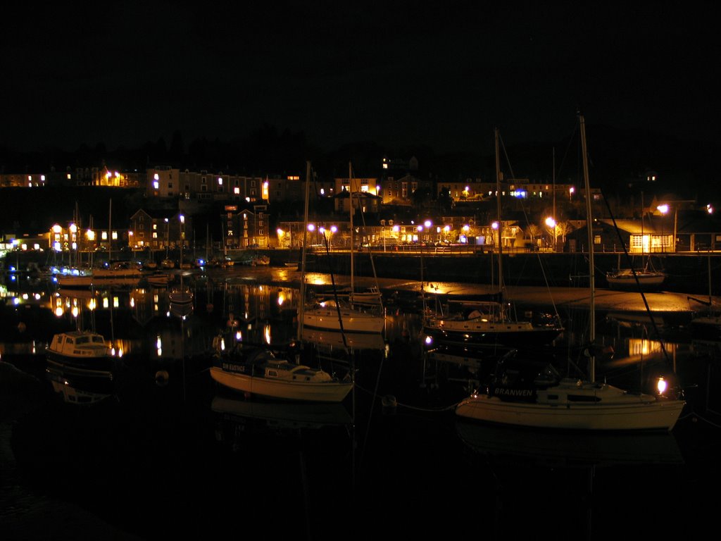 Porthmadog Harbour at night by vulcan655