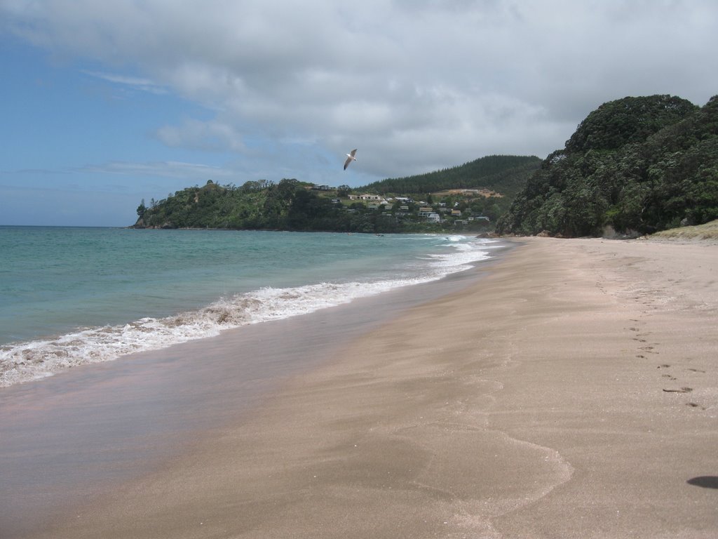 NZ - Hot Water Beach by Jessy-81