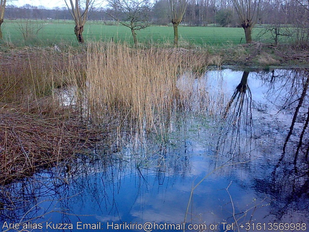 Paddenpoel oost Vuurschepad by Harikirio