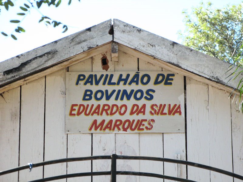 Não sei de quem foi a idéia de fazer esta homenagem em vida para meu avô, mas ela é muito justa, embora eu seja suspeito para fazer tal afirmação - agosto/2008 by Eduardo Dantas