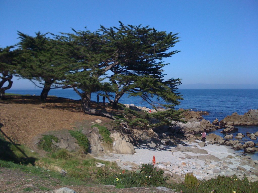 Pacific Grove by alexkr00