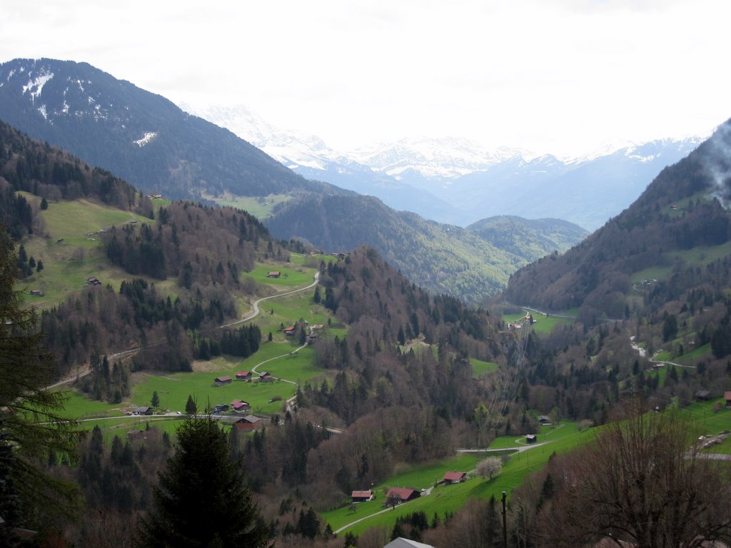 Green valley in the Alps on Route 11 by SKaustin