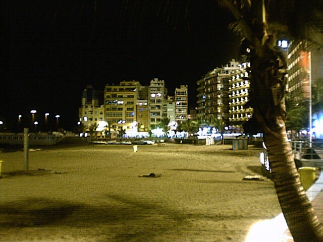 Las Canteras Beach at Night by binhere