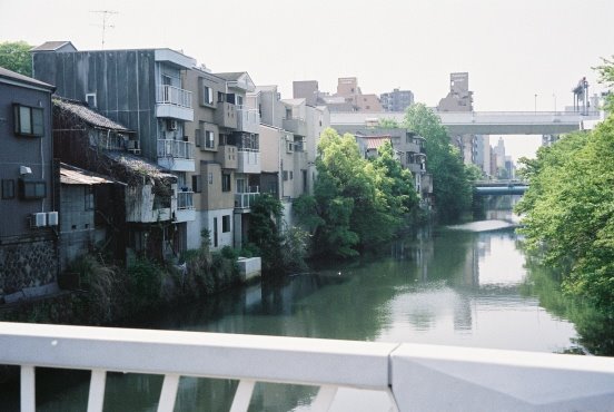 Horikawa River by frakerm