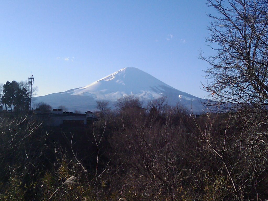 Fujiyama by Feng Demin