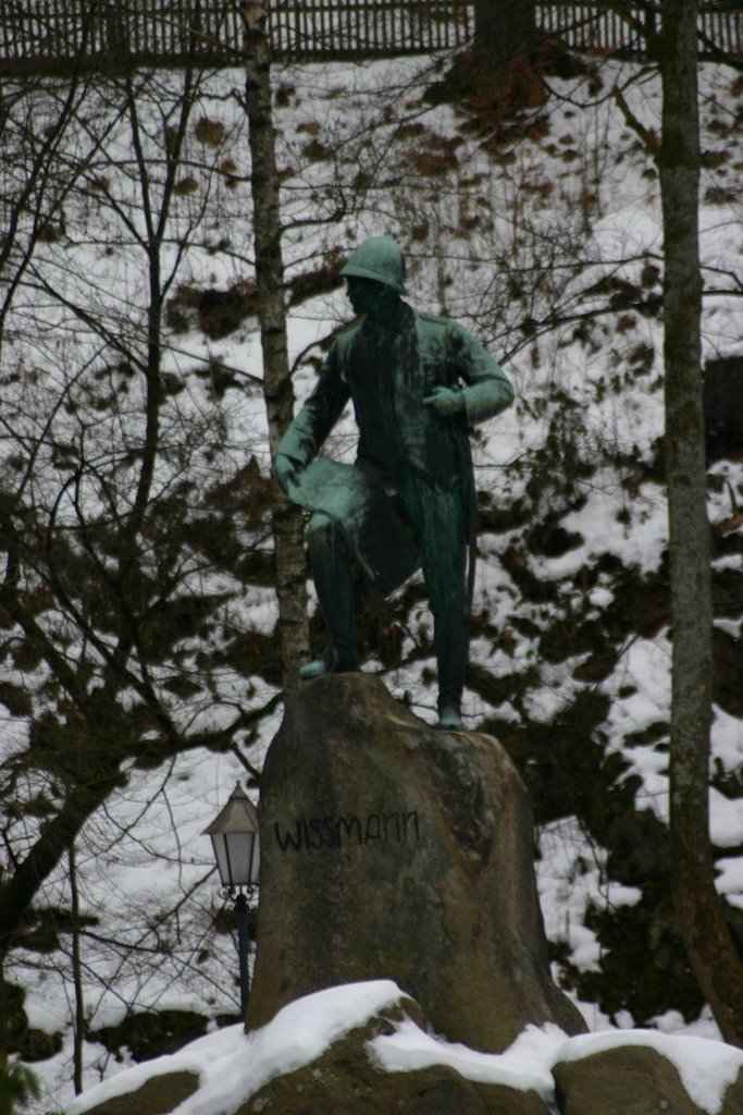 Wissmanndenkmal im Kurpark by chrima46