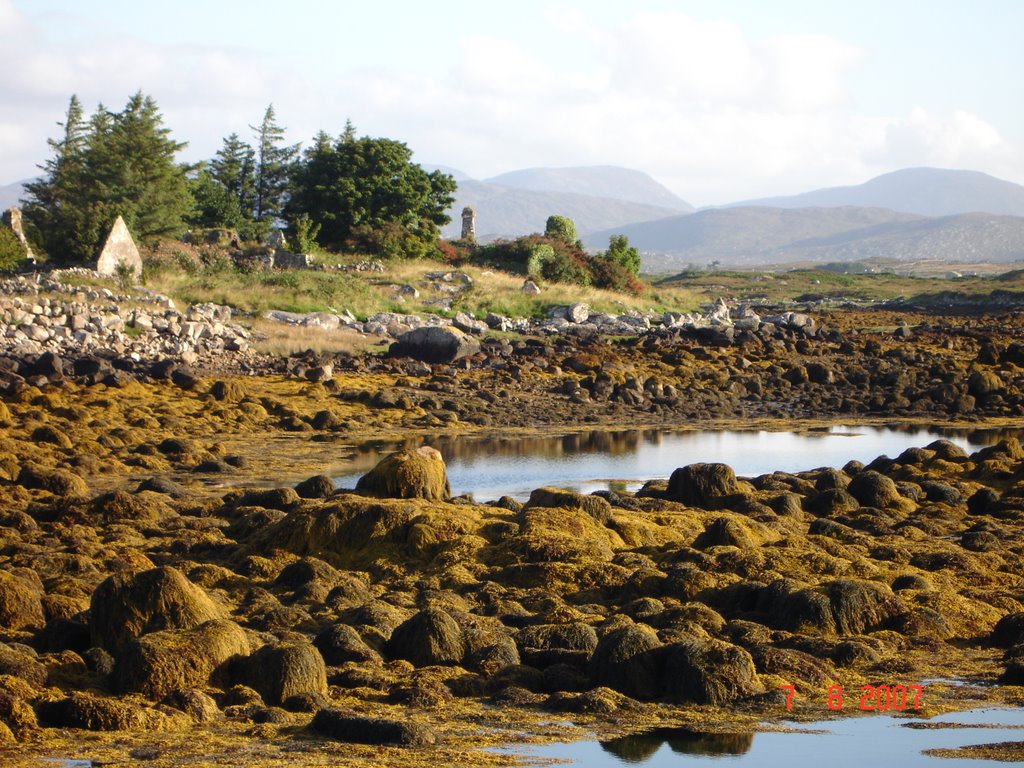 Clynagh Island, Co. Galway, Ireland by damiblu