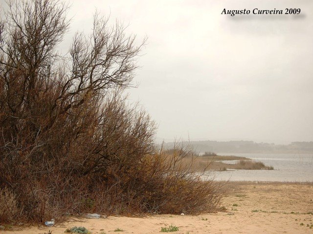 Á beira da lagoa by augusto curveira