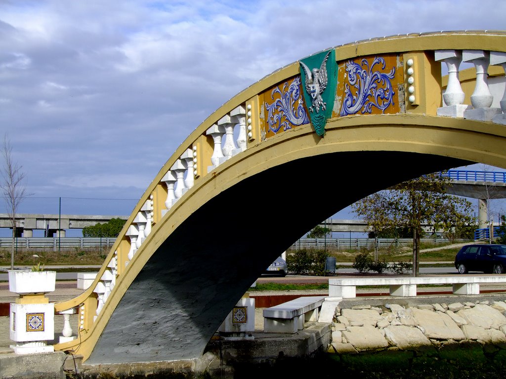 Aveiro by arponte