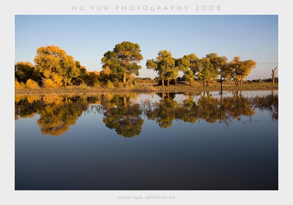 Ejin, Alxa, Inner Mongolia, China by Yuk Ng