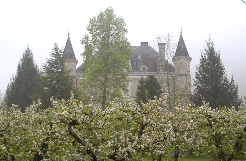 Beaulieu sur Dordogne, correze, France by isogood