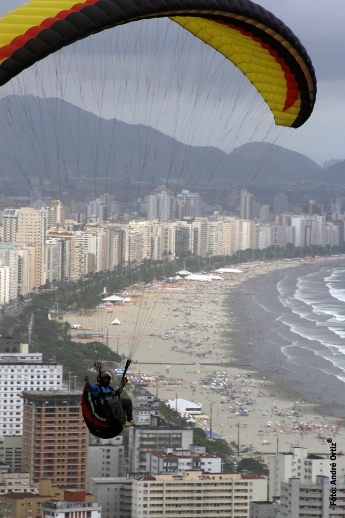 Paraglider (Santos ao fundo) by André Ortiz