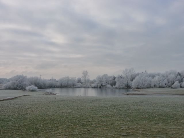 Winterlandschaft in Wentorf by Uwe Frei