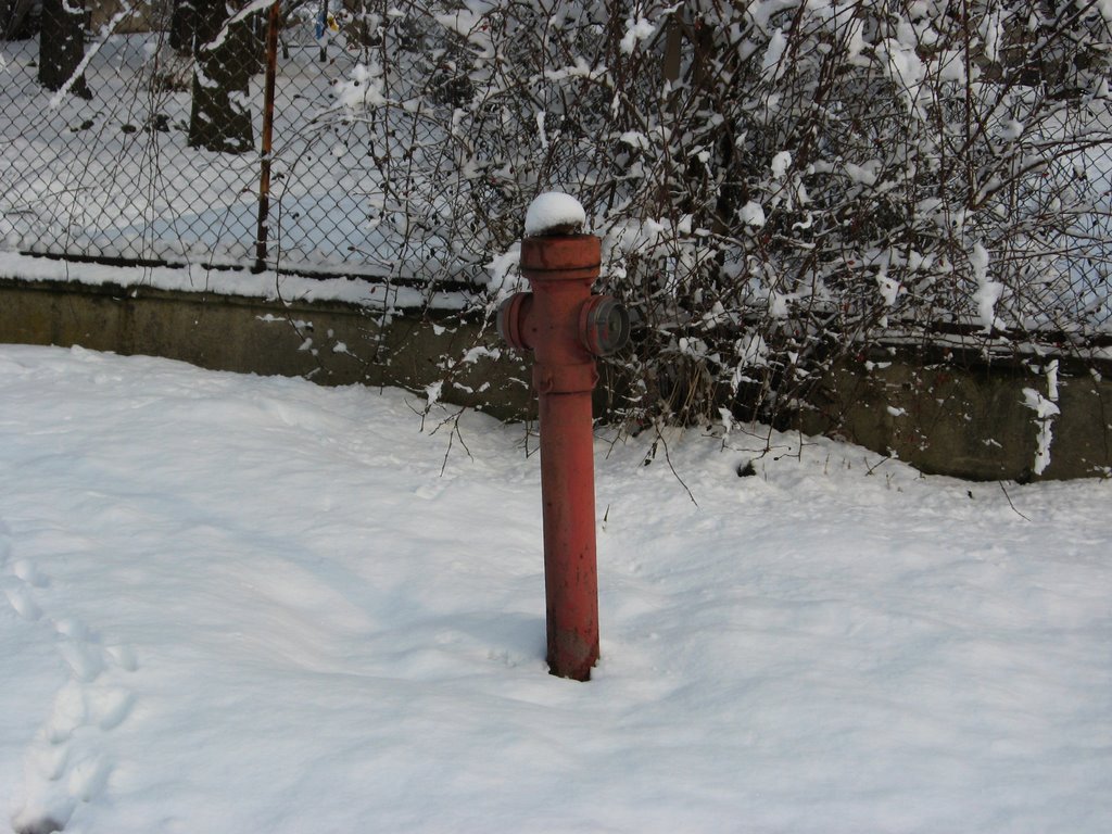 Hydrant by wojtex