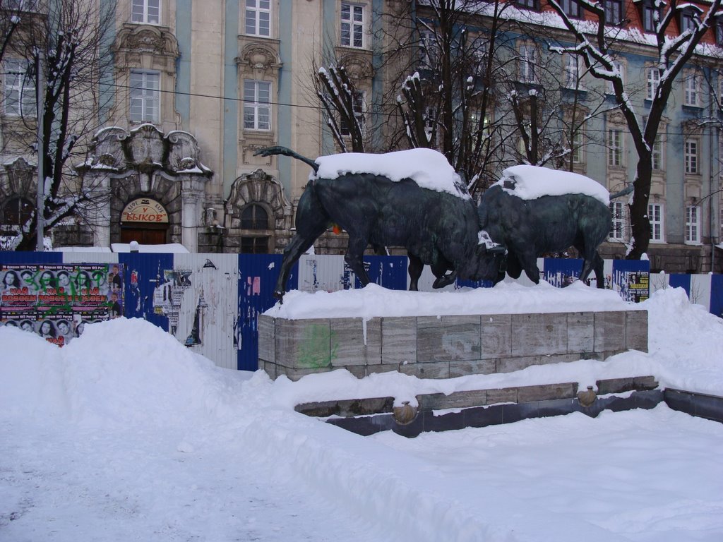 Kaliningrad. Kämpfende Wiesente. by bysanter