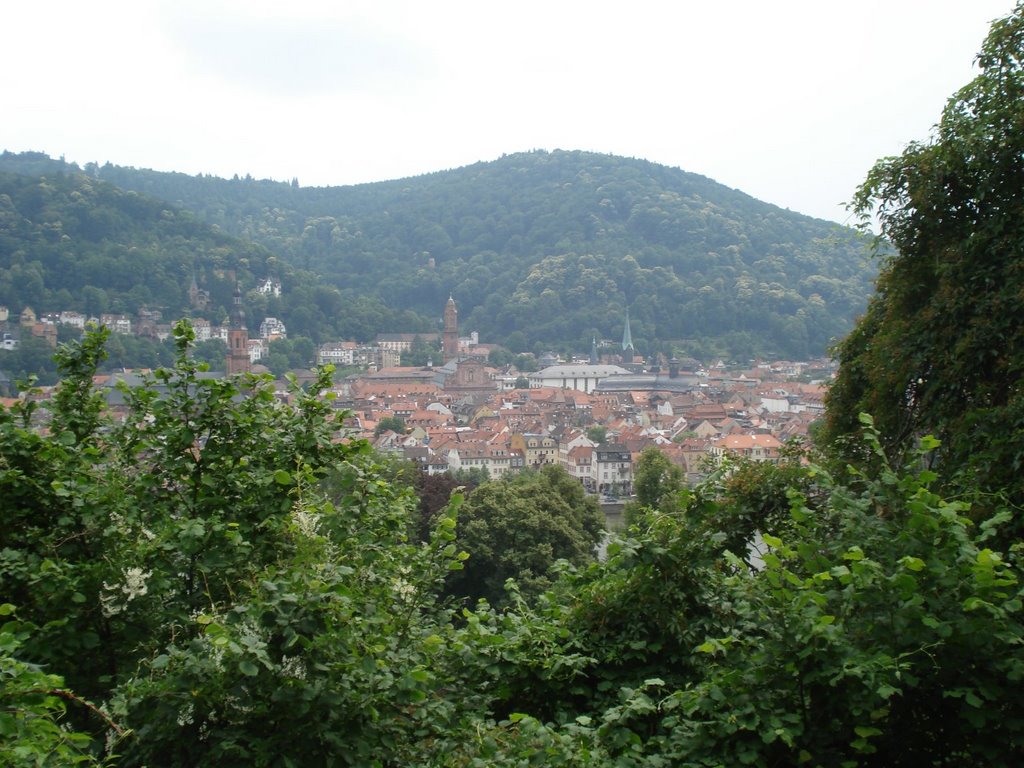 Panorama from Schlangenweg - © Émerson-V by Émerson-V