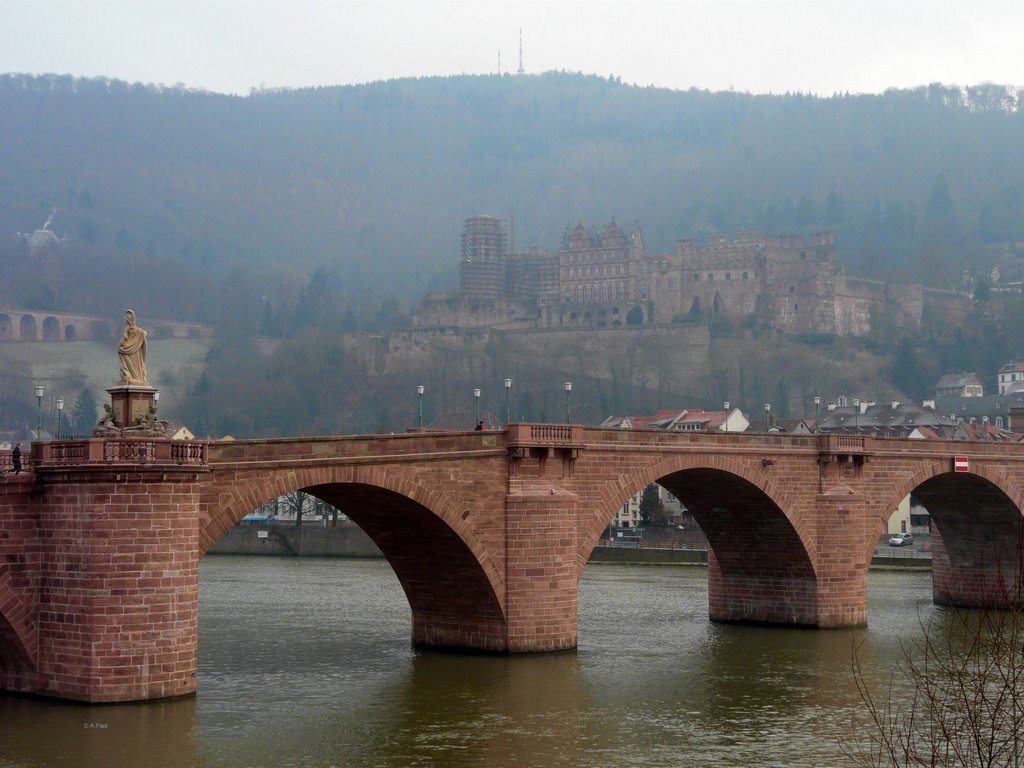 Karl-Theodor Brücke by A.Flad