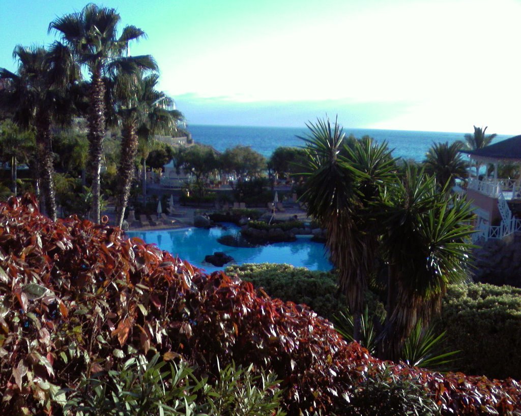 Hotel Bahia delDuque by fresner