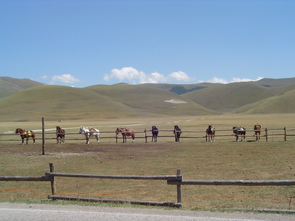 Castelluccio "Indianerland" by Markus Baumann