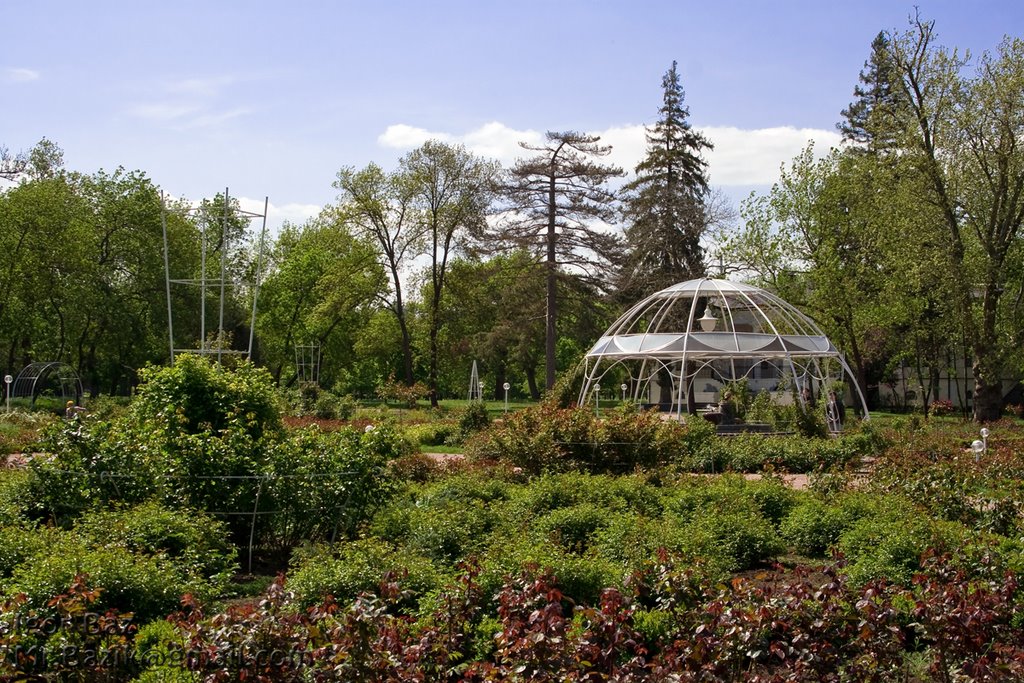 Rosary. Pavilion by Mr.Bazik