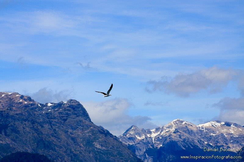 Ave sobrevolando el Lago Nahuel Huapi desde Villa La Angostura by dbuonamico