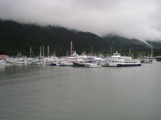 Seward Harbor by jdmays