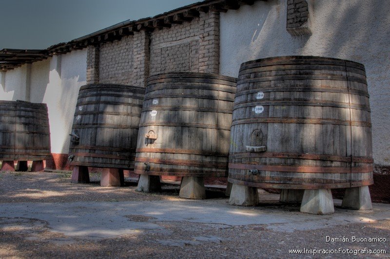 Bodega La Abeja - San Rafael by dbuonamico