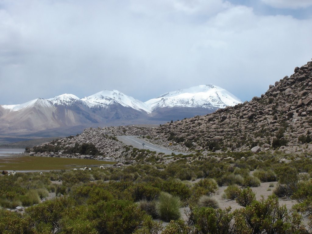 Ruta a Bolivia, sector Lago Chungara. Comuna de Putre. Parinacota. Chile. by Elias Munoz