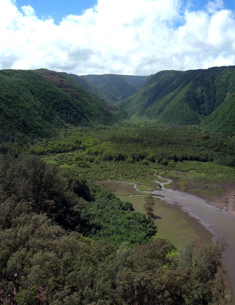 Pololu Valley, from a kite by tbenedict