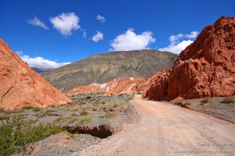 Paseo de los Colorados - Purmamarca - Jujuy by dbuonamico