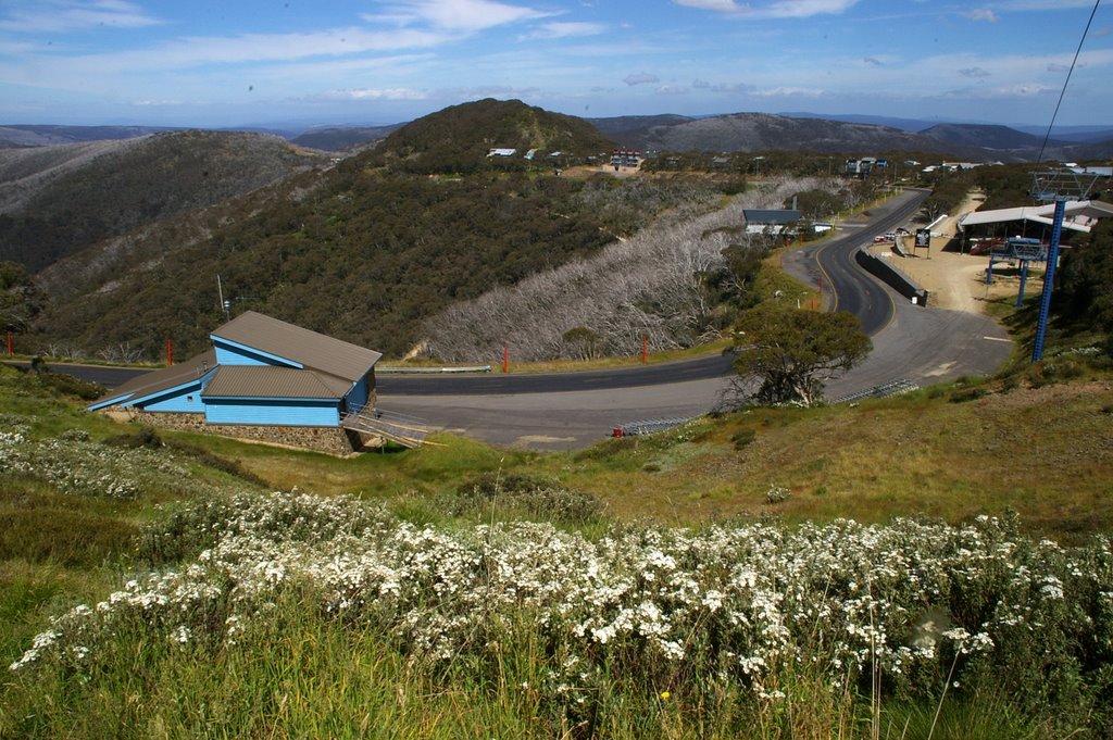 Summer at Hotham by snucklepuff