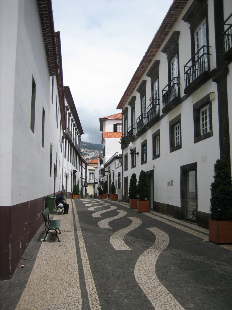 Funchal, Madeira by Luis Villa