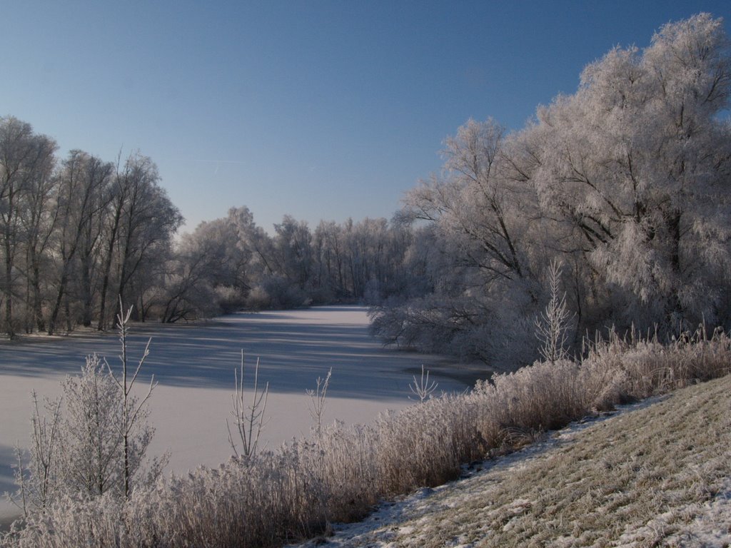 Witboomkil in de winter by organize