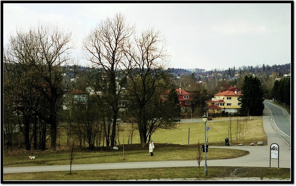 Oslo sculpture park by Small path