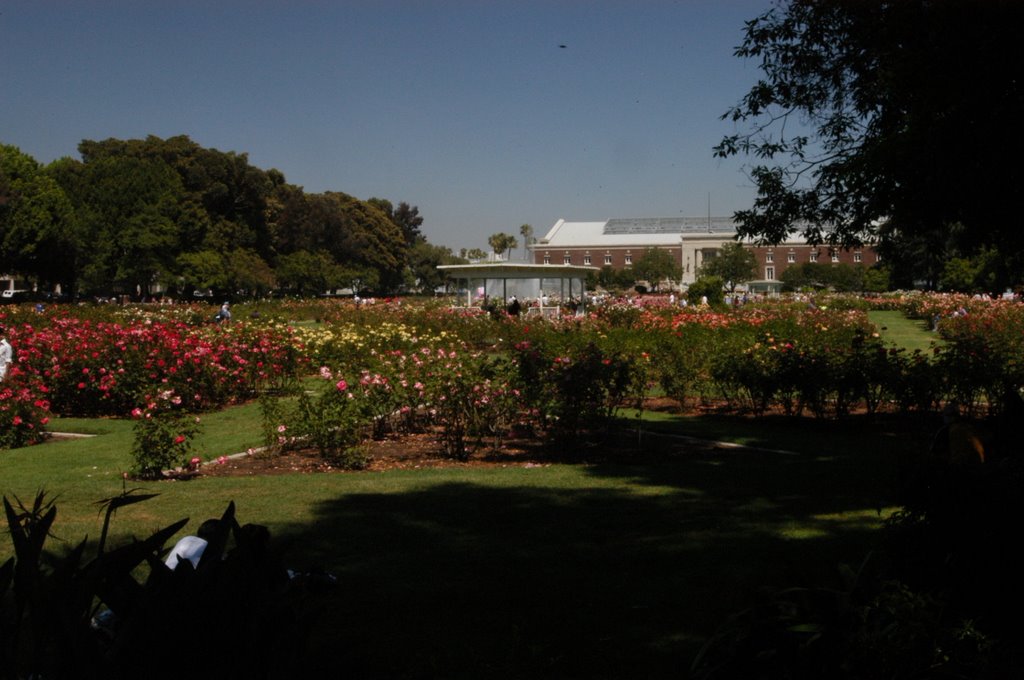 Exposition Park Rose Garden by James De Rouen