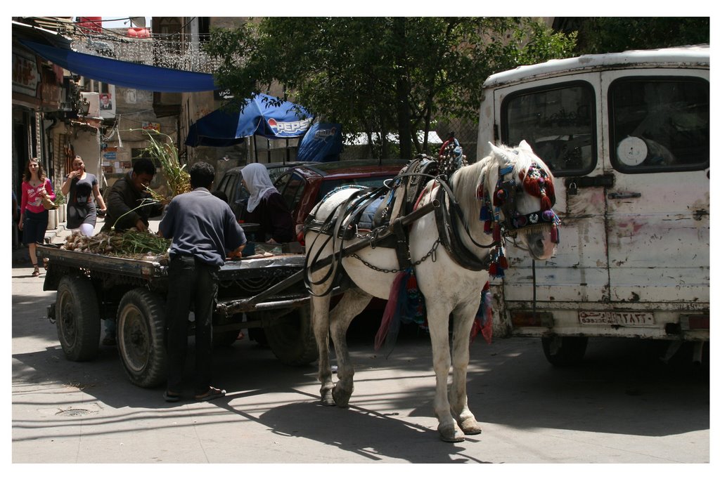 Andrefrank in damascus by andrefrank