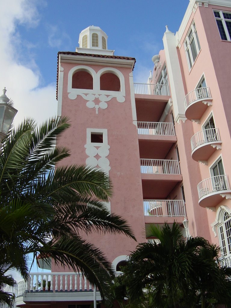 Don Cesar Resort by dgoggans