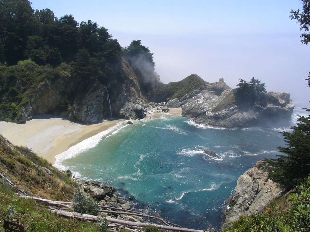 Julia Pfeiffer Burns State Park by jtmchong