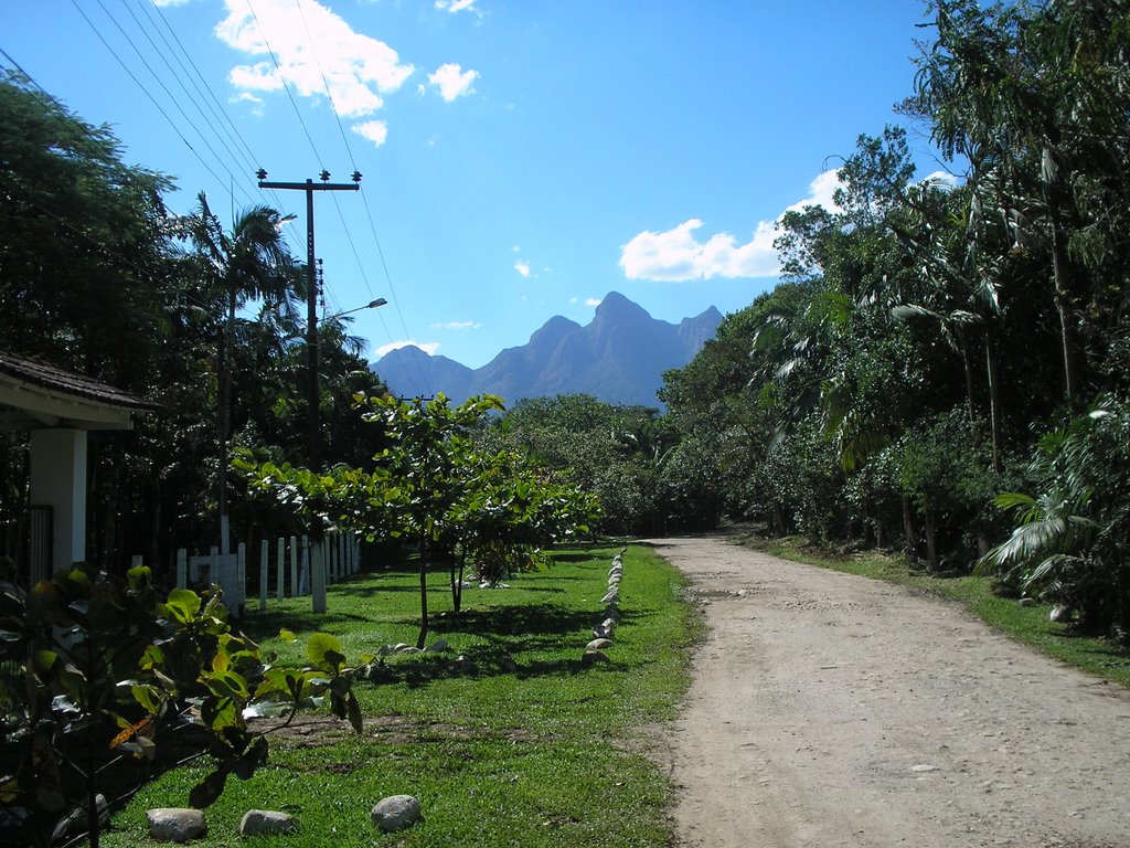 Estrada ao lado Rio do Nunes by Mauro Edson Swarofsk…