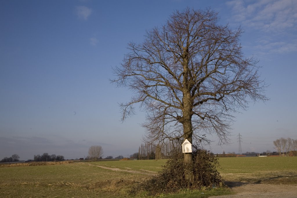 Boomkapelletje langs de Bosakkertraat te Tielt, BE by desmet.geert