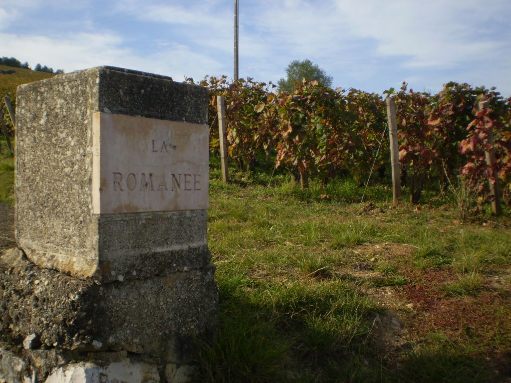 La Romanée - Vosne-Romanée - Bourgogne by MarioDW