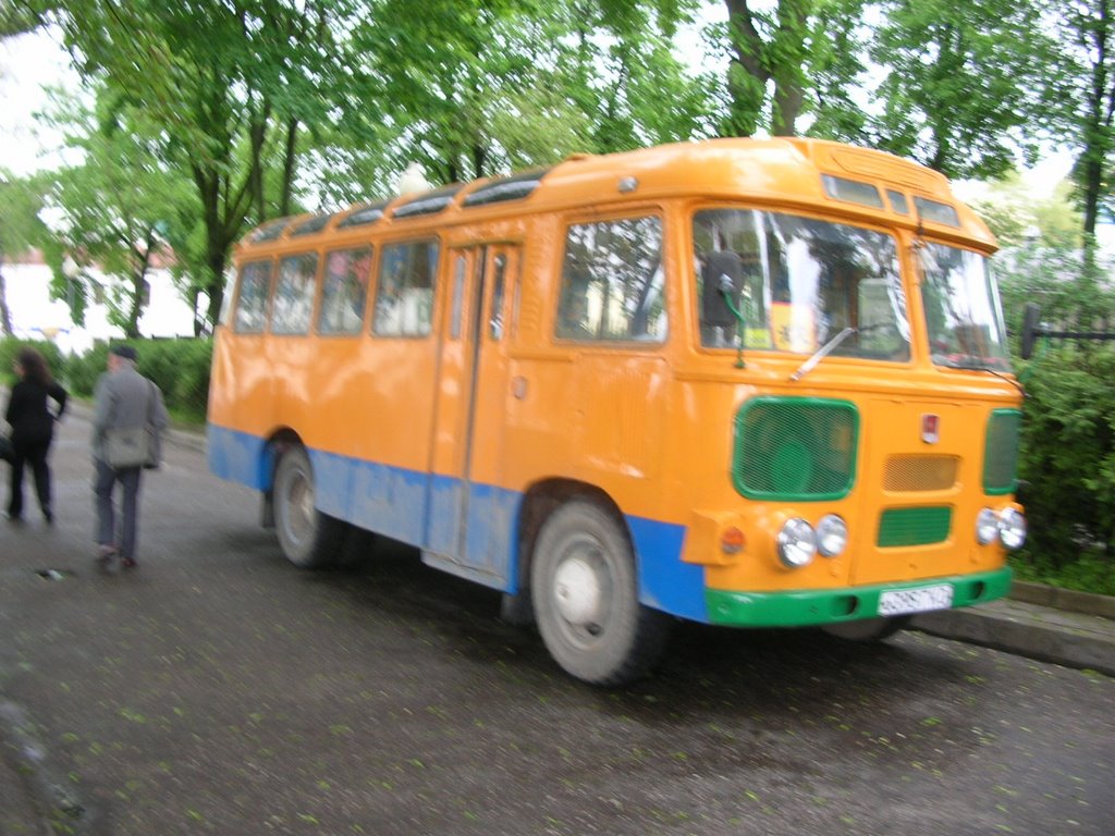 Białoruś-kolorowe autobusy by janka1959