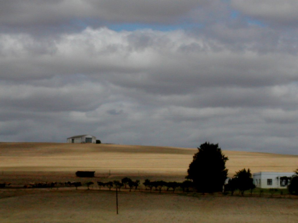 Near wellington by Jacquesfrancois