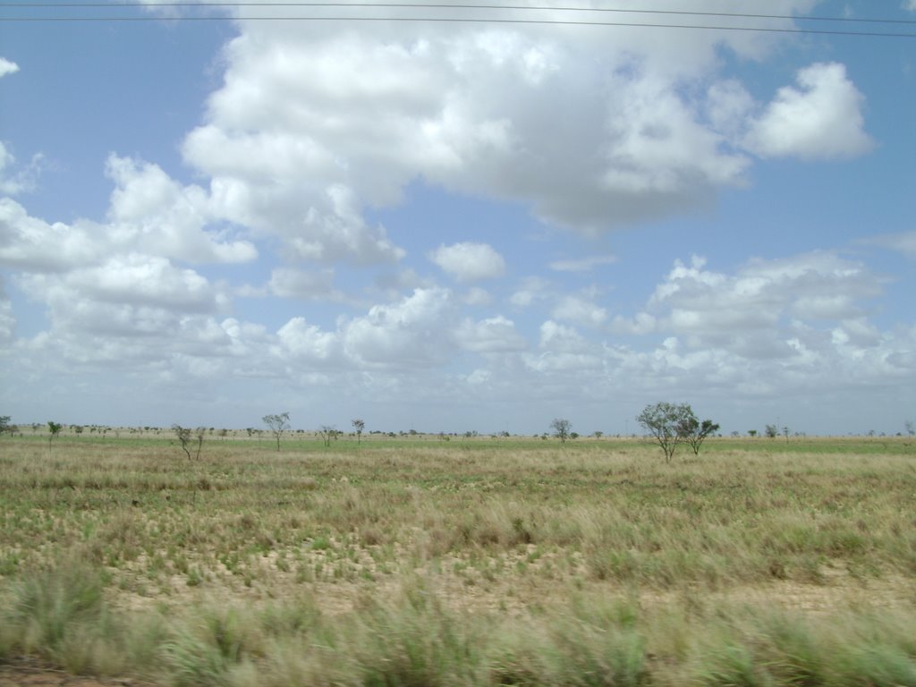 Sabanas con una mata llanera ... llaneras tipicas de la via de mapire by david agustin romero cabeza