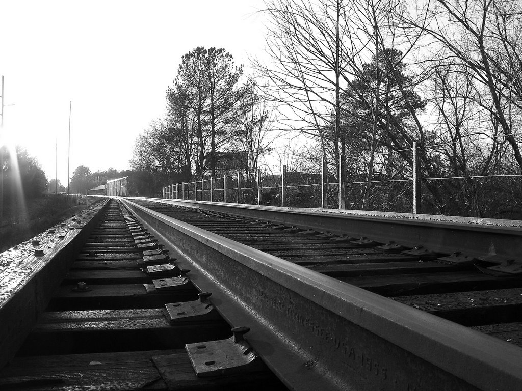 Railroad tracks in the mid-afternoon sun by sthomper