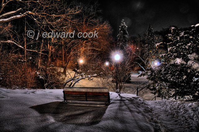 Park Bench In Winter by JEdwardCook