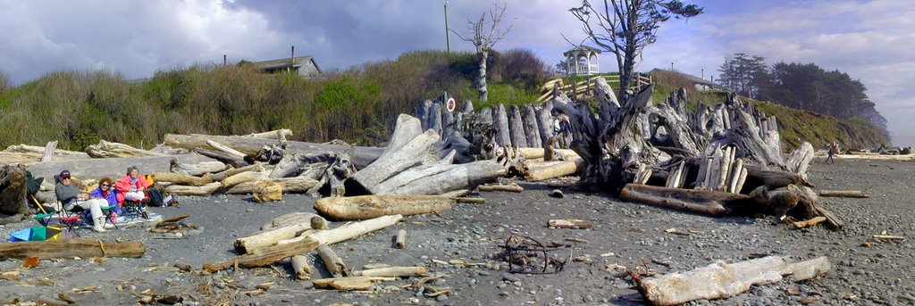 Kalaloch Beach Panoramic by Larry Jacobson