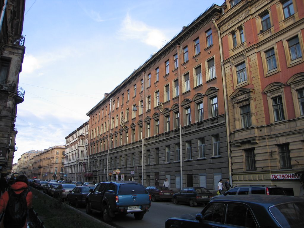 Mohovaja street. St.Petersburg.Russia by Vladimir Gaevsky