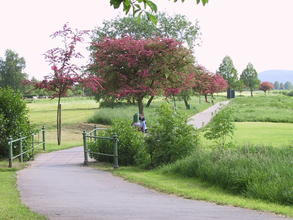 Weserradweg an der Jugendherberge by wodger